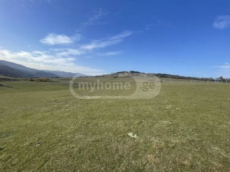 For Sale Sainvestitsio Land Plot Tetritsqaroshi view 3