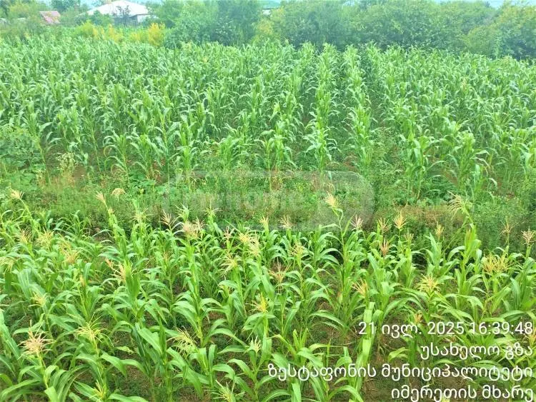 For Sale 7 Room Private House Zestaponshi view 8