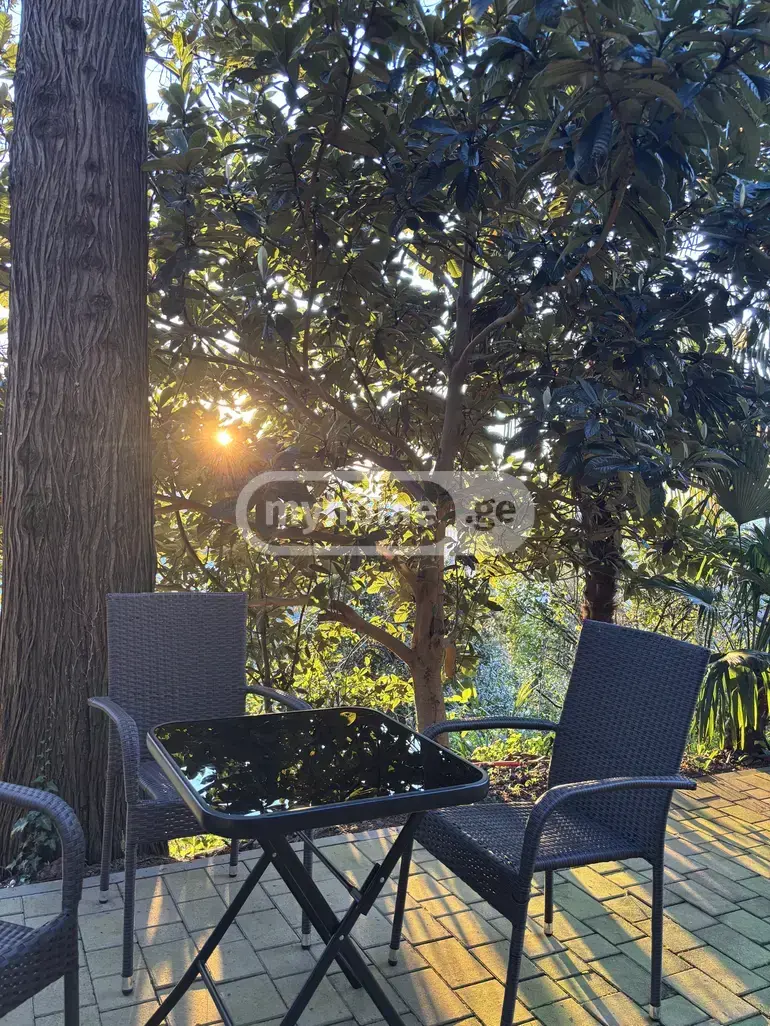 Daily Rent 10+ Room Private House In Batumi view 14
