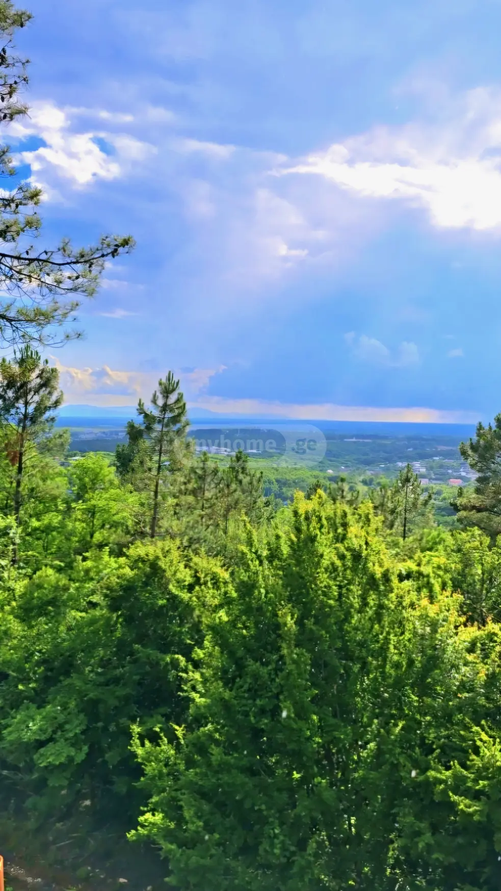 For Sale 5 Room Country House Kutaisshi view 7
