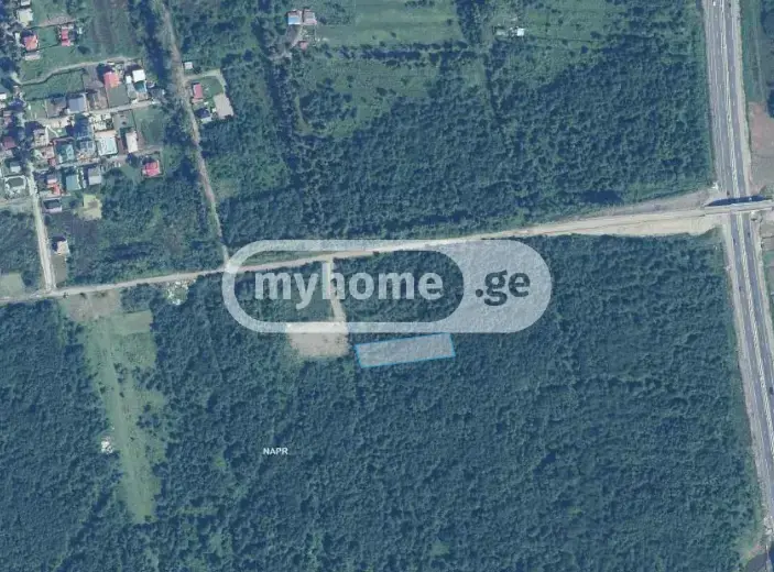 For Sale Sasoplo-Sameurneo Land Plot Ozurgetis Munitsipalitetshi view 3