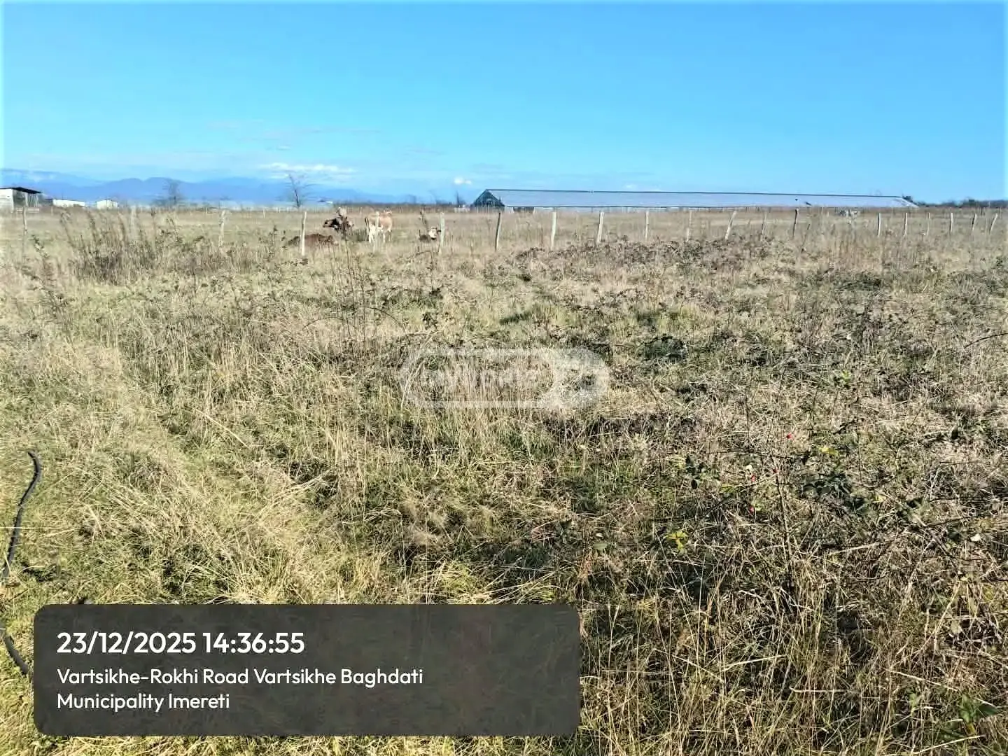 For Sale Sasoplo-Sameurneo Land Plot Baghdatshi view 10
