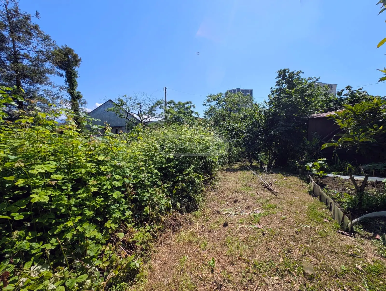 For Sale Sasoplo-Sameurneo Land Plot In Batumi view 4