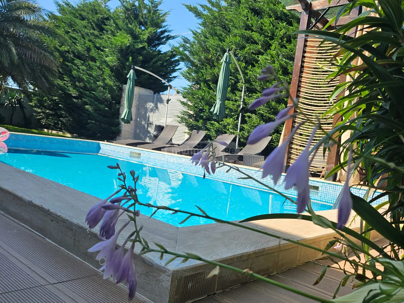 Daily Rent 5 Room Country House view 6