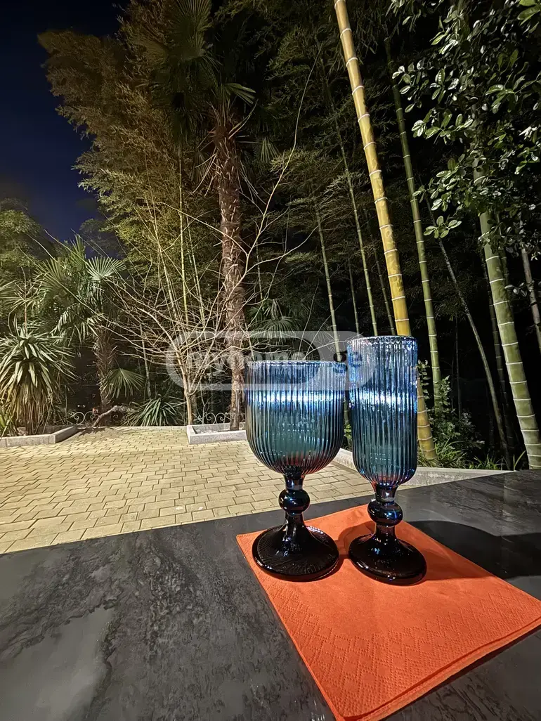 Daily Rent 10+ Room Private House In Batumi view 13
