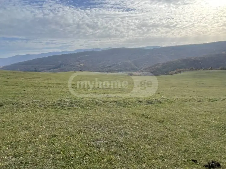 For Sale Sainvestitsio Land Plot Tetritsqaroshi view 4