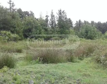 Продажа Земля / участок в Ozurgetis Munitsipalitetshi view 2