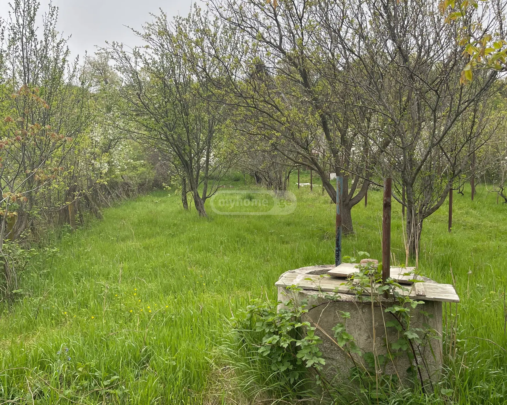 For Sale 7 Room Country House Gardabnis Munitsipalitetshi view 13