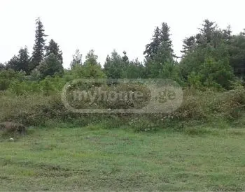 Продажа Земля / участок в Ozurgetis Munitsipalitetshi view 1