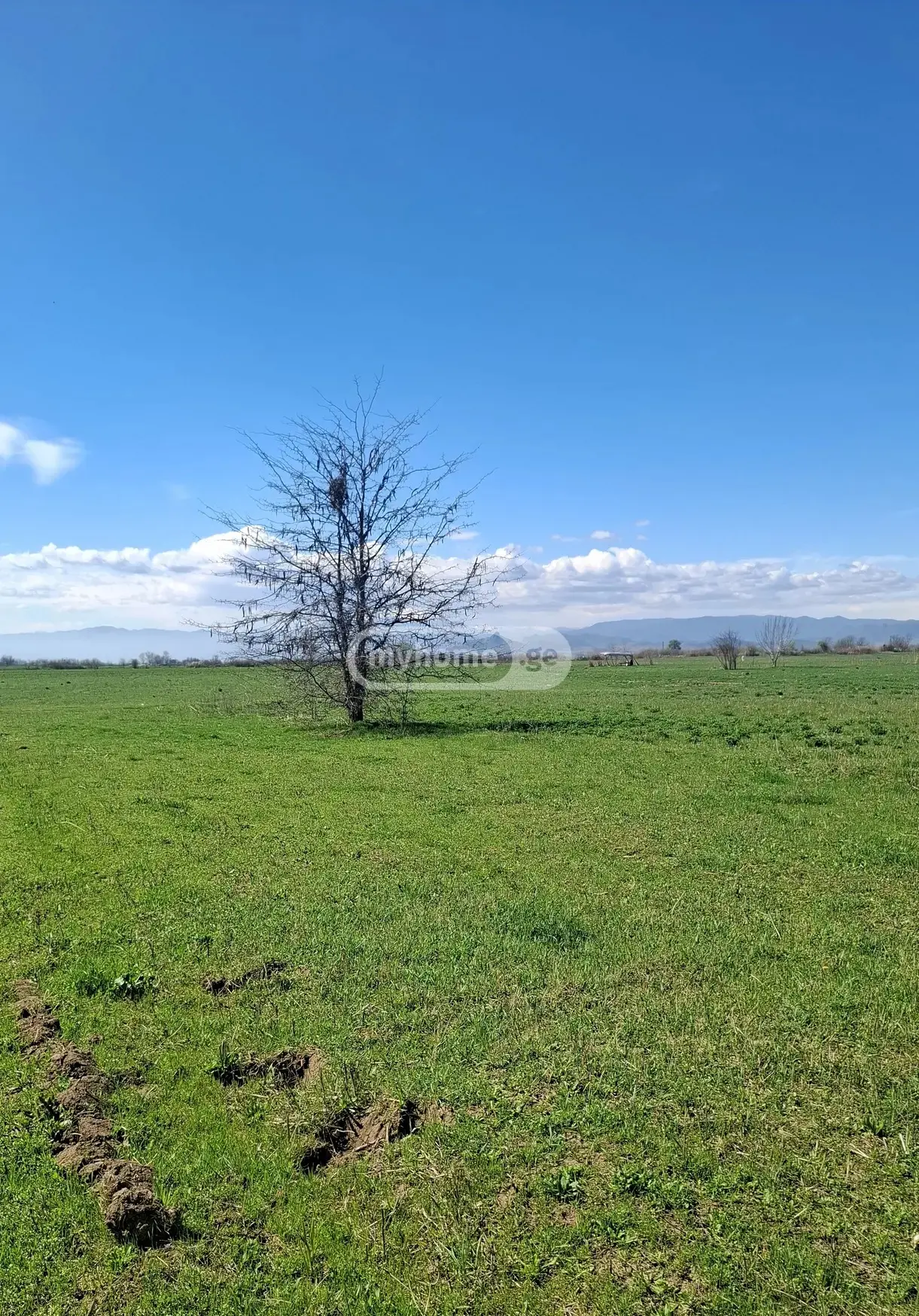 For Sale Sasoplo-Sameurneo Land Plot Marneulshi view 1