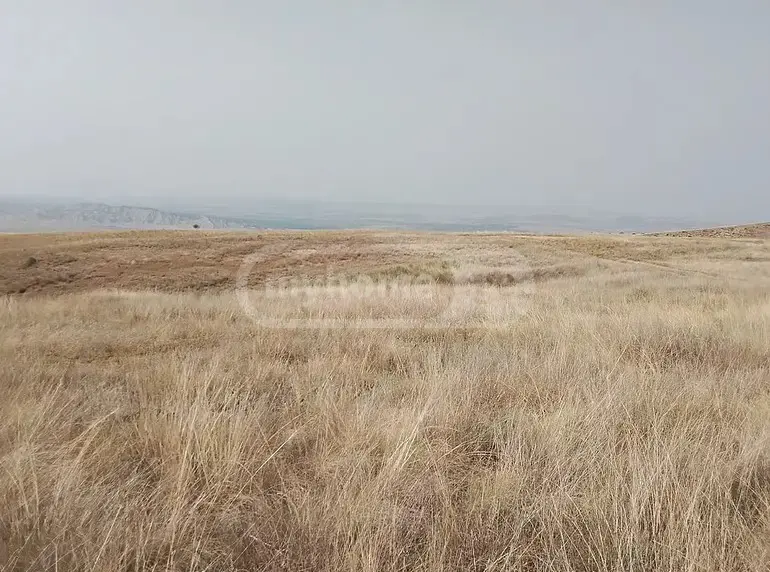 იყიდება მიწა / ნაკვეთი Sighnaghshiში view 2