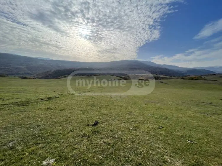 For Sale Sainvestitsio Land Plot Tetritsqaroshi view 5
