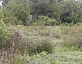 Продажа Земля / участок в Ozurgetis Munitsipalitetshi view 4