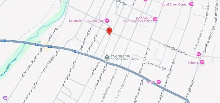 For Sale Universaluri Commercial Space Lagodekhshi view 20