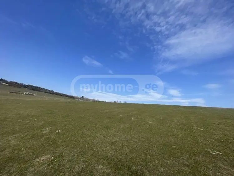 For Sale Sainvestitsio Land Plot Tetritsqaroshi view 2