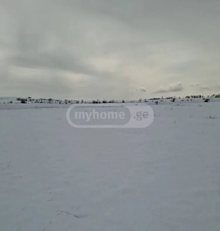 For Sale Sainvestitsio Land Plot Kaspshi view 1