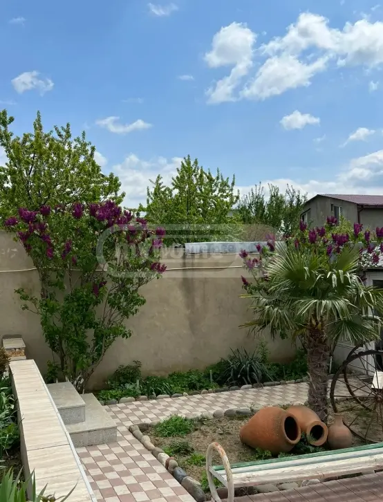 Daily Rent 3 Room Private House, 8 of 9
