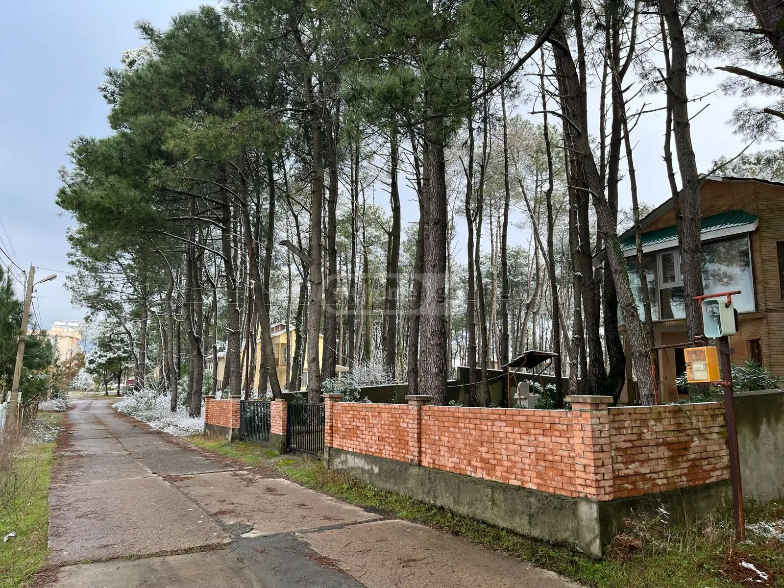 For Rent 4 Room Private House Ozurgetis Munitsipalitetshi view 13