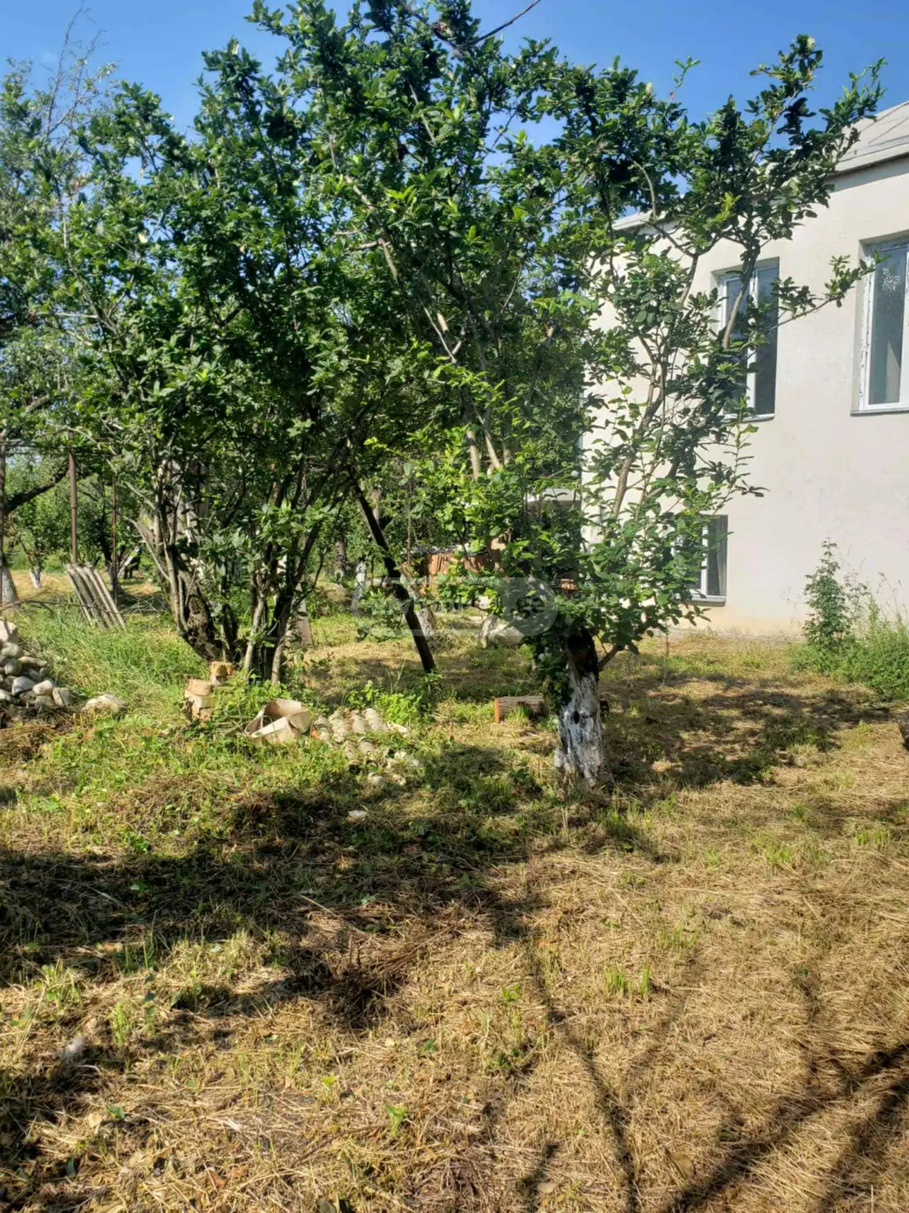 For Sale 9 Room Private House Sagarejos Munitsipalitetshi view 7