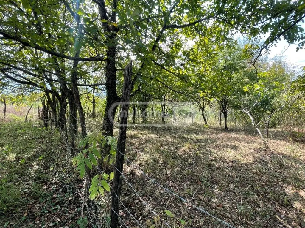 Продажа Земля / участок в Zestaponshi view 3