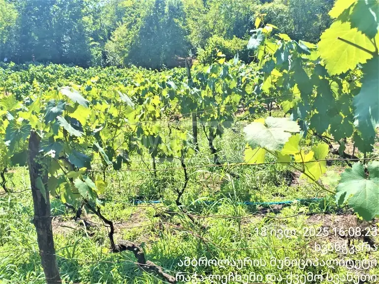 Продажа Земля / участок в Ambrolaurshi view 1