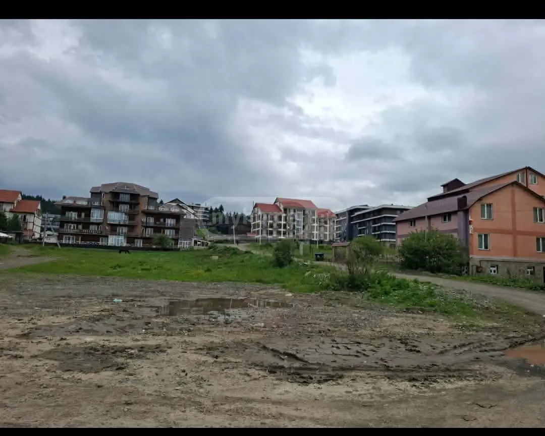 For Sale Ara Sasoplo-Sameurneo Land Plot Bakurianshi, 1 of 4