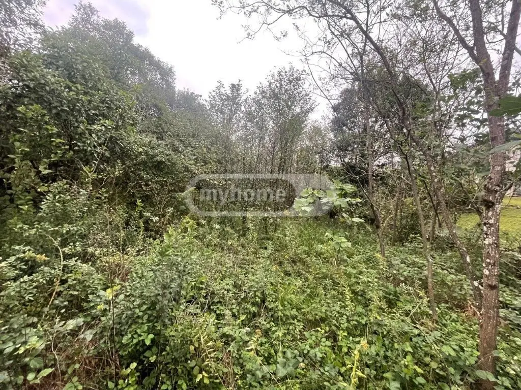 Продажа Земля / участок в Zugdidis Munitsipalitetshi view 3