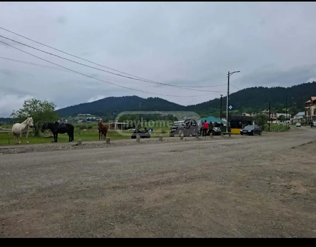 For Sale Ara Sasoplo-Sameurneo Land Plot Bakurianshi, 2 of 4