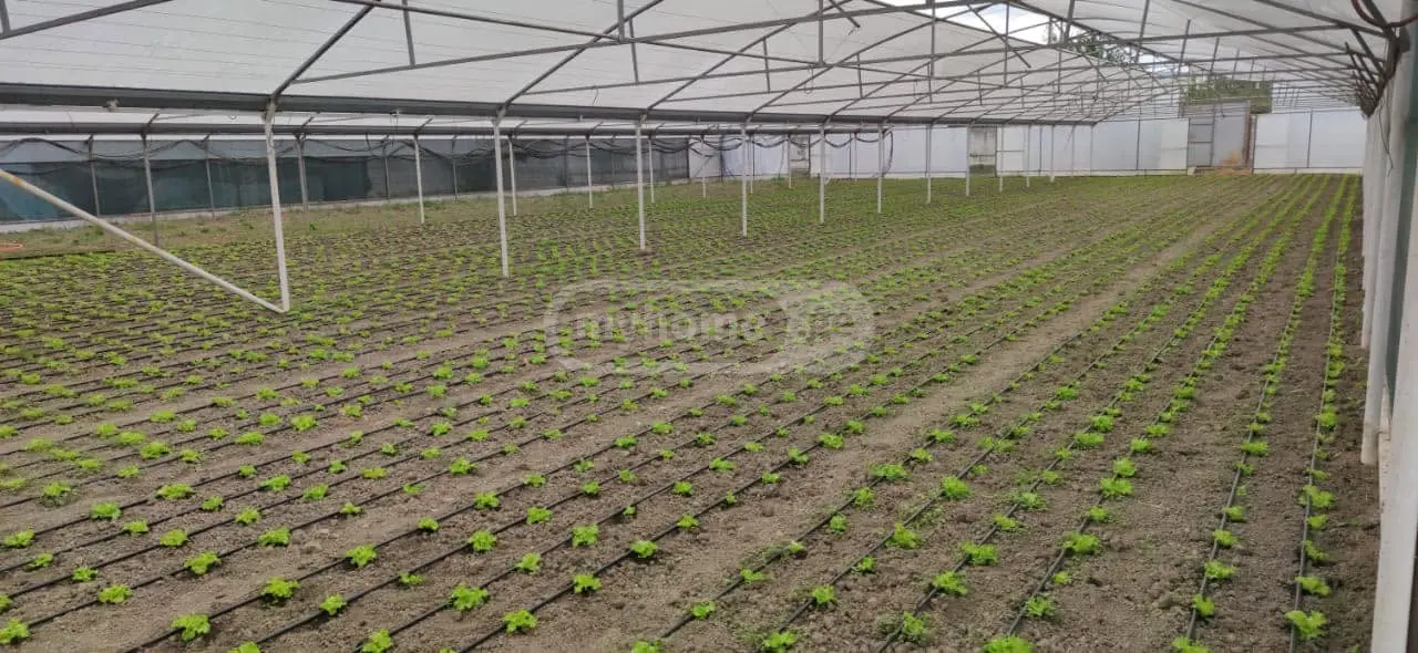 For Rent Savachro Commercial Space Mtskhetis Munitsipalitetshi view 2
