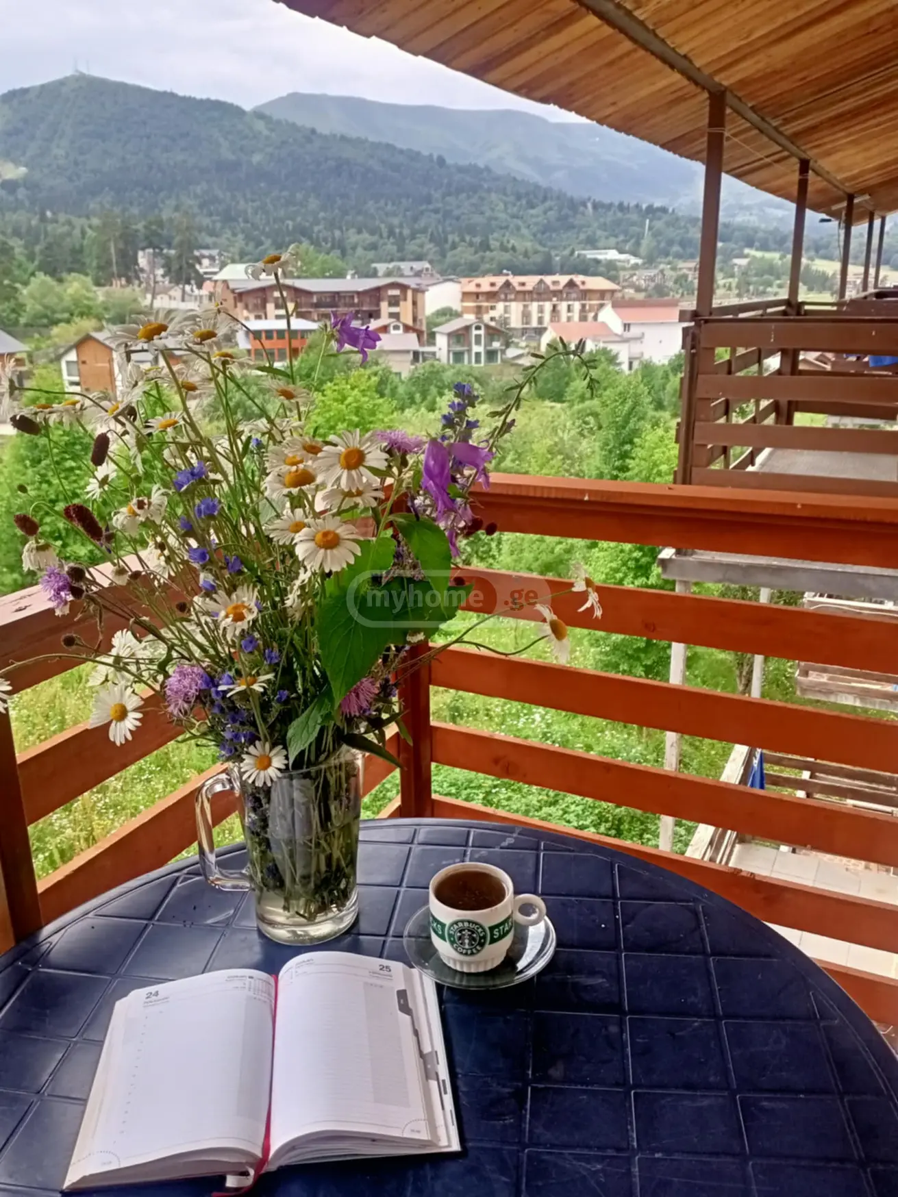 დღიური ქირა 1-ოთახი Sastumro Bakurianshi view 1