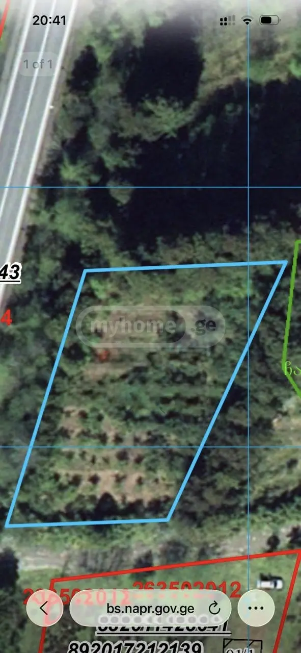 For Sale Sasoplo-Sameurneo Land Plot Ozurgetis Munitsipalitetshi view 1