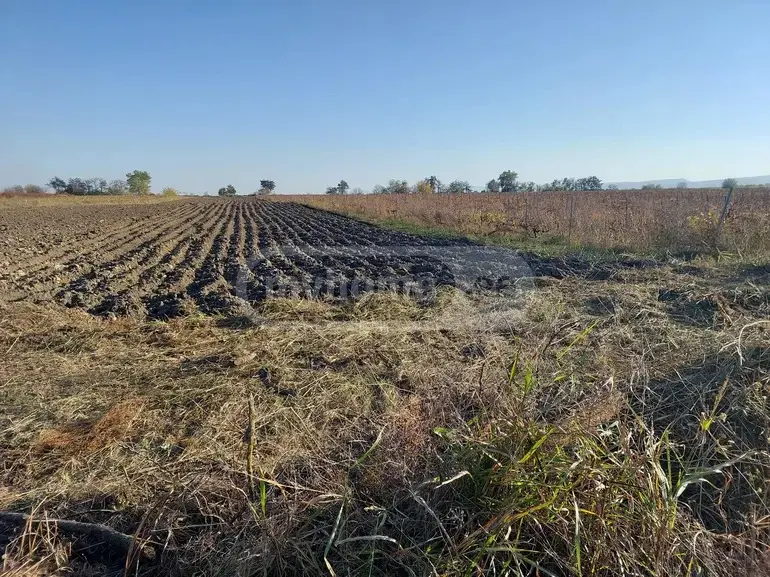 For Sale Sasoplo-Sameurneo Land Plot Gurjaanshi view 3
