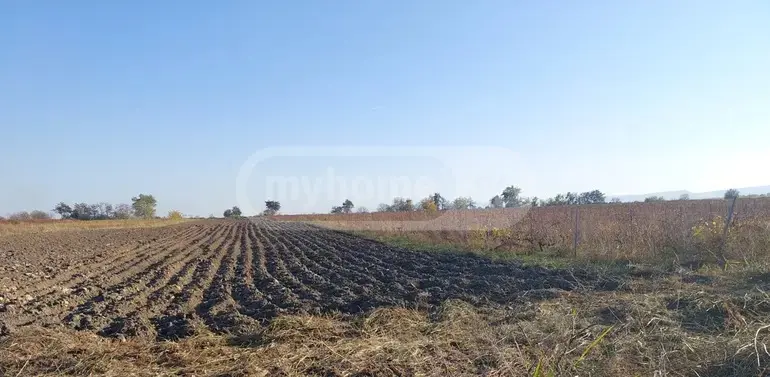 For Sale Sasoplo-Sameurneo Land Plot Gurjaanshi view 2