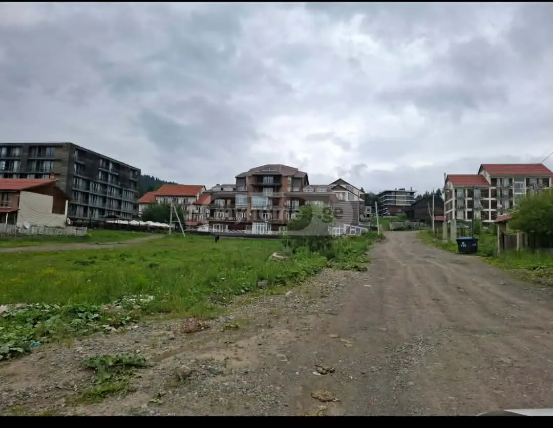 For Sale Ara Sasoplo-Sameurneo Land Plot Bakurianshi, 3 of 4