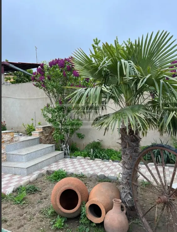 Daily Rent 3 Room Private House, 9 of 9