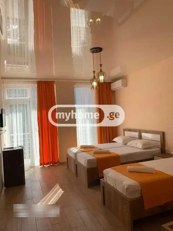 Daily Rent 10+ Room Private House In Batumi view 4