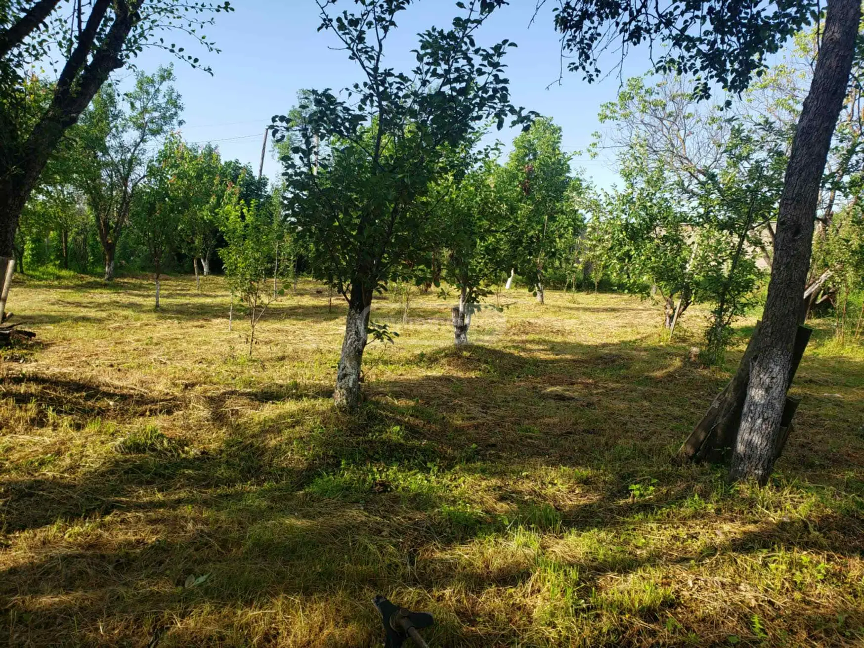 For Sale 9 Room Private House Sagarejos Munitsipalitetshi view 6