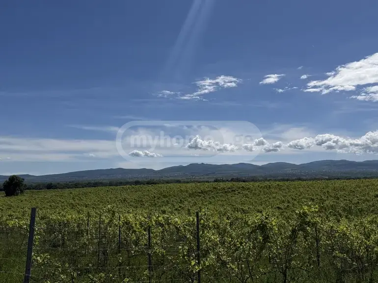 Продажа Земля / участок в Qvarelshi view 7