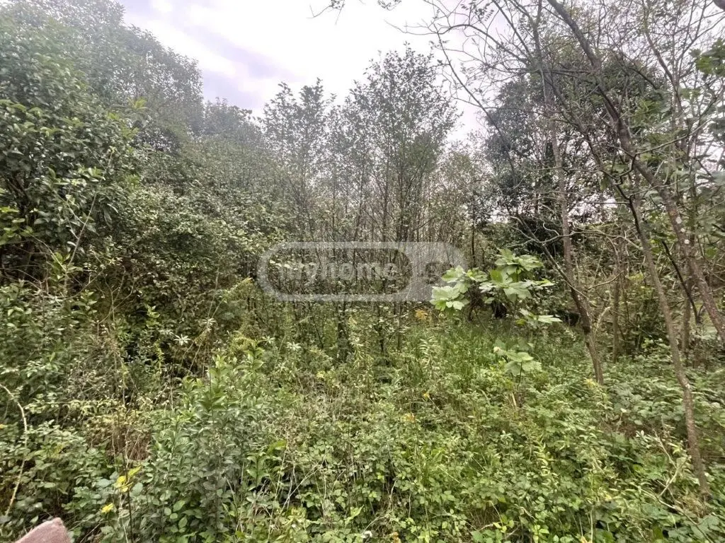Продажа Земля / участок в Zugdidis Munitsipalitetshi view 4