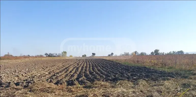 For Sale Sasoplo-Sameurneo Land Plot Gurjaanshi view 1