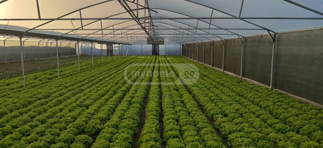 For Rent Savachro Commercial Space Mtskhetis Munitsipalitetshi view 3