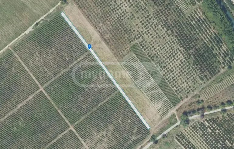For Sale Sasoplo-Sameurneo Land Plot Gurjaanshi view 5