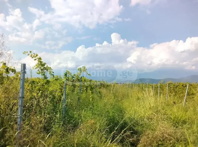Продажа Земля / участок в Qvarelshi view 6