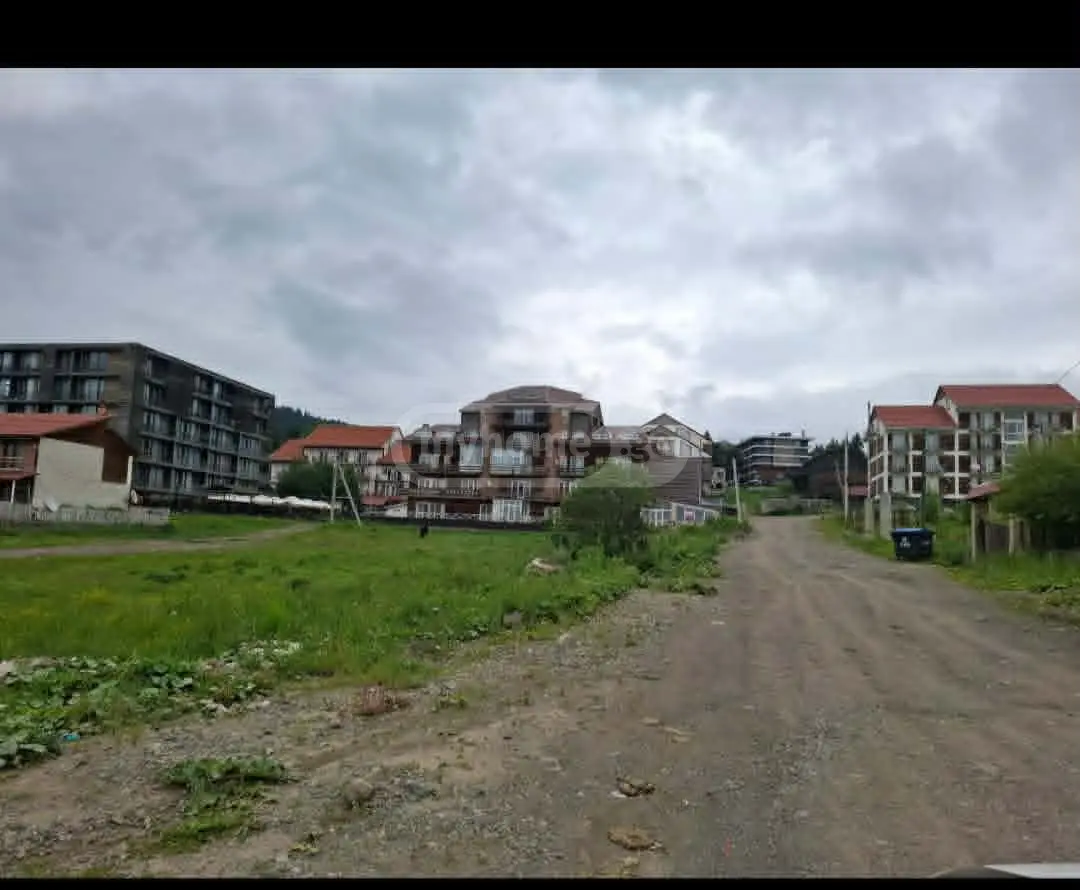 For Sale Ara Sasoplo-Sameurneo Land Plot Bakurianshi, 4 of 4