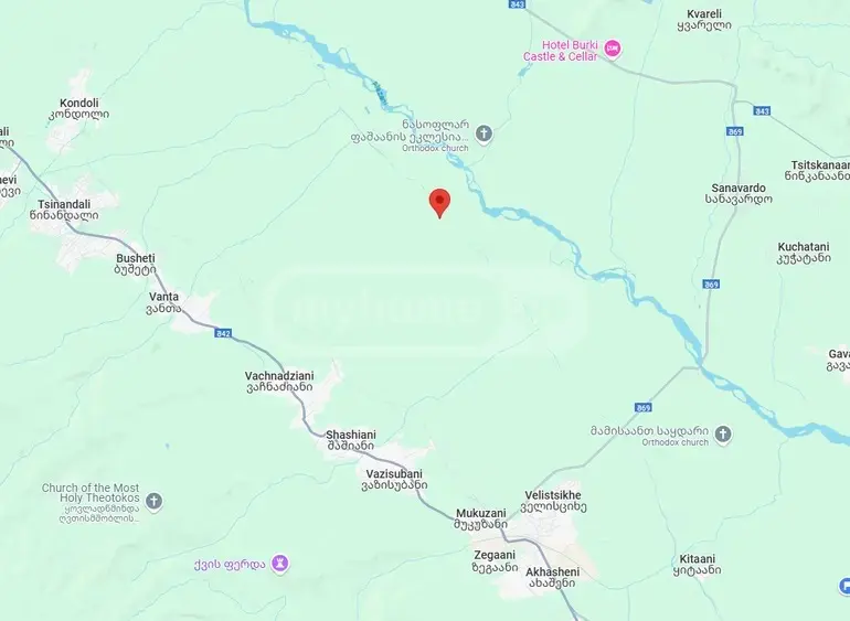 For Sale Sasoplo-Sameurneo Land Plot Gurjaanshi view 6