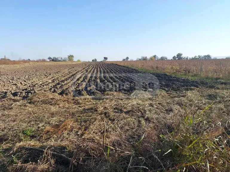 For Sale Sasoplo-Sameurneo Land Plot Gurjaanshi view 4