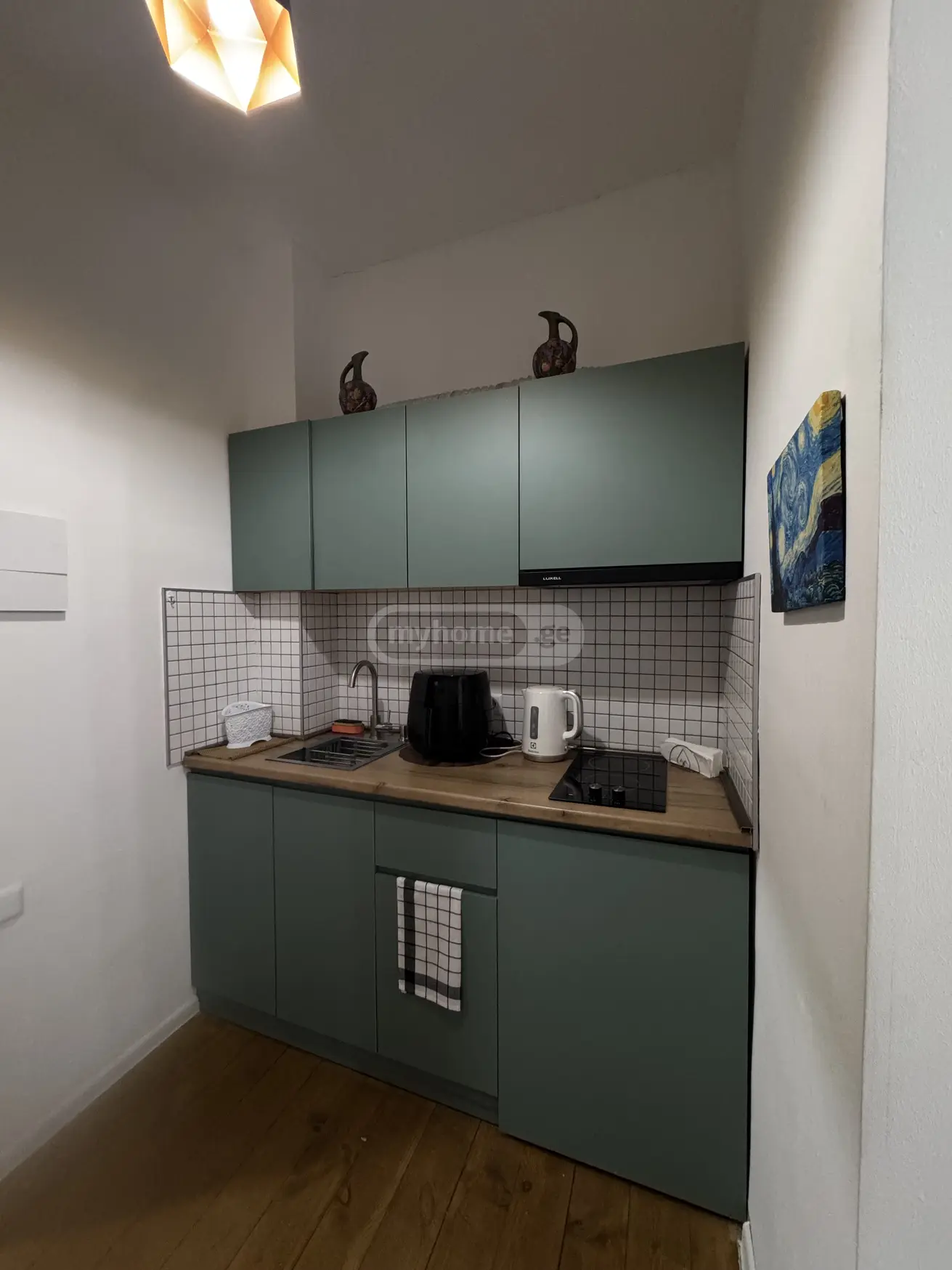 Daily Rent 1 Room Apartment Dushetis Munitsipalitetshi view 10