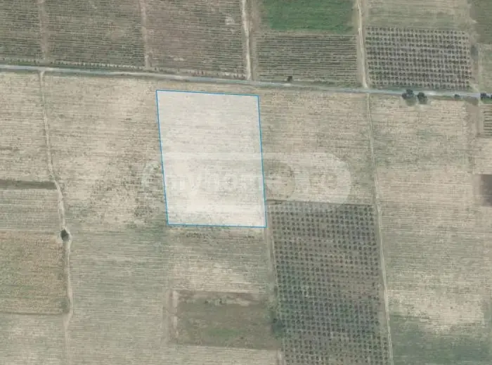 Продажа Земля / участок в Qvarelshi view 10