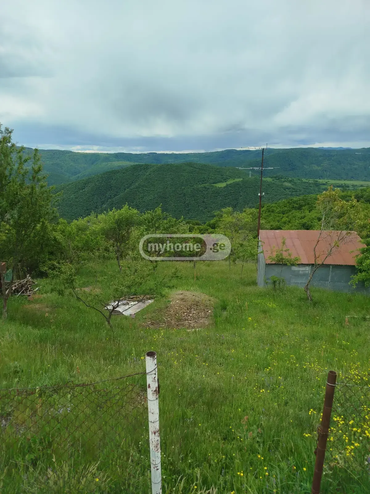 For Sale Sasoplo-Sameurneo Land Plot Tetritsqaroshi view 8