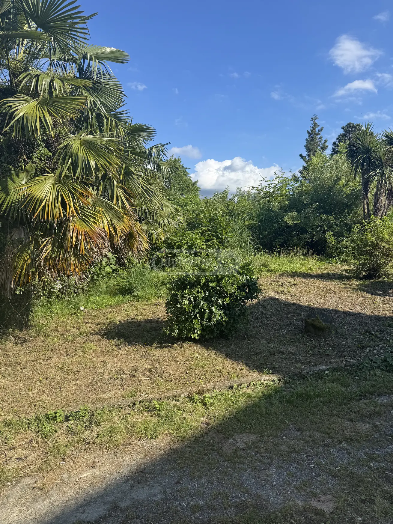 For Sale Sasoplo-Sameurneo Land Plot In Batumi view 1